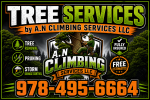 an climb